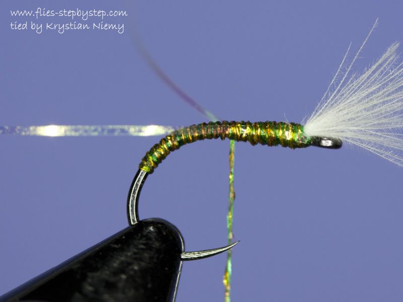 Golden Olive Buzzer How to tie fly, Fly tying Step by Step Patterns